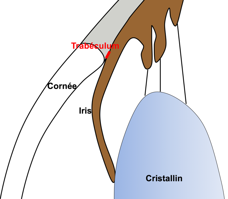 Fermeture de l'angle avec légendes